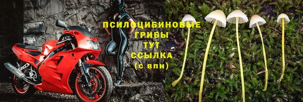 кокс Баксан